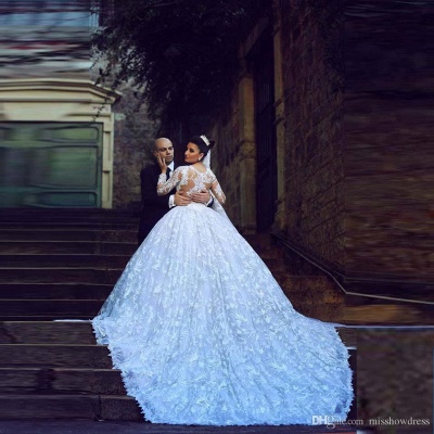 Lace Long Sleeve Wedding Dresses Court Train Elegant Ball Bridal Gowns_2