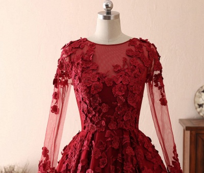 Stunning Long Sleeves Bateau Floral Appliques A-Line Ruffles Prom Dress_4
