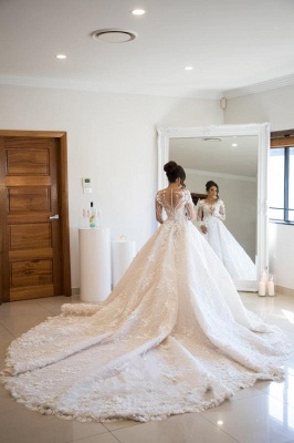 Elegant Tarin A-Line V-neck Long Sleeve Appliques Lace Wedding Dress_2