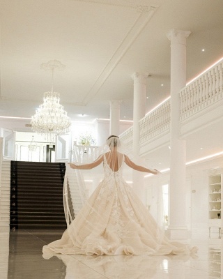 Elegant A-Line Deep V-neck Backless Appliques Lace Floor-length Wedding Dress_2