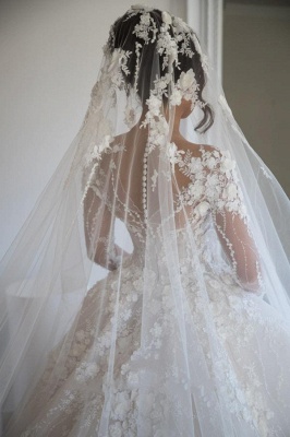 Elegant Tarin A-Line V-neck Long Sleeve Appliques Lace Wedding Dress_3
