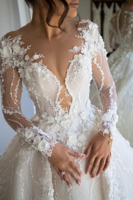 Elegant Tarin A-Line V-neck Long Sleeve Appliques Lace Wedding Dress_4