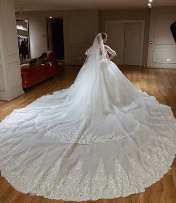 Gorgeous Sweetheart Off The Shouldr Three Quarters Sleeve Ball Gown Wedding Dress With Applique_3