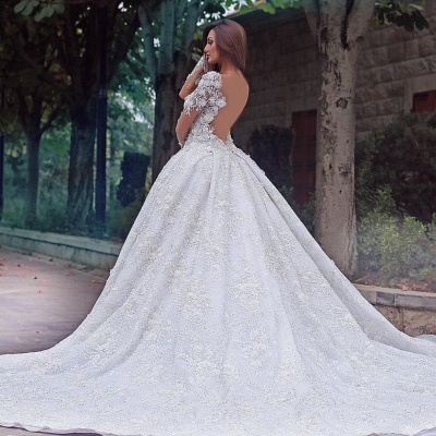 Gorgeous A-Line Bateau Long Sleeve Appliques Lace BacklessTrain Wedding Dress_3