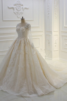 Gorgeous Bateau Long Sleeve Appliques Lace Beading Floor-length Ball Gown Wedding Dress_4
