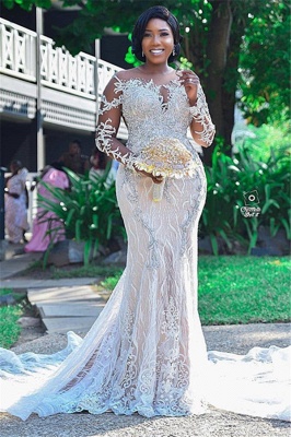 Gorgeous Long Sleeve Applique Beaded Open Back Mermaid Wedding Dress_1