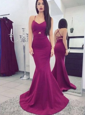 Sexy Mermaid Prom Dresses Criss Cross Straps Long Evening Dresses Sweep Train_3