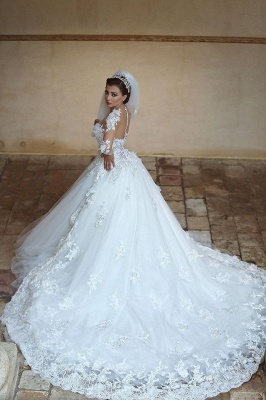 Gorgeous Sheer Lace Ball Gown Long Sleeves Hi-lo Tulle Wedding Dresses_2